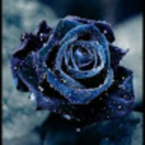 Meet your Posher, Destiny